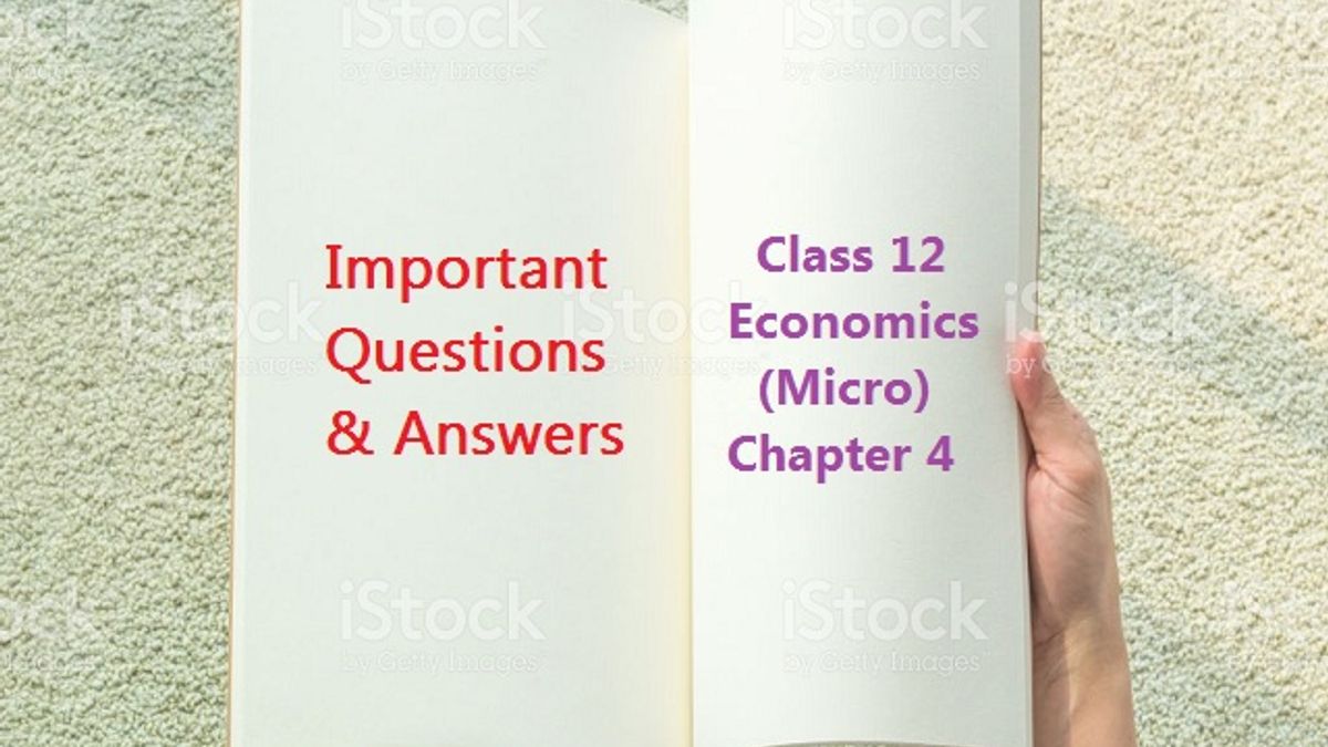 Important Questions & Answers for Class 12 Economics (Micro) - Chapter 4